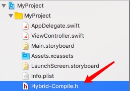 hybrid-compile